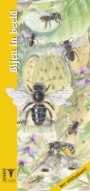 Bijen in beeld kopen bij Imkerij De Linde
